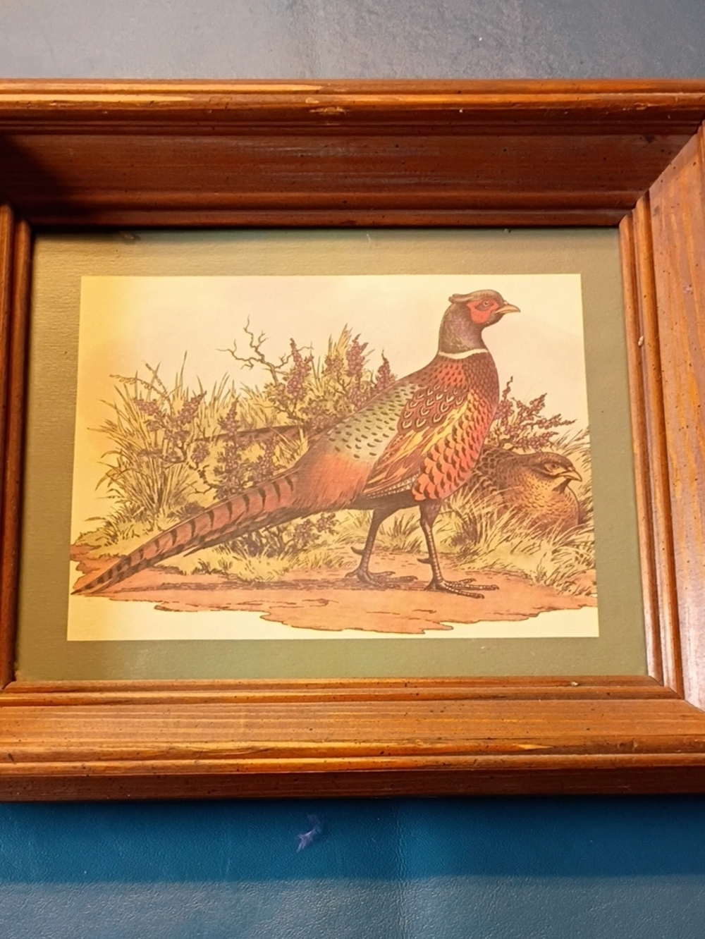 Framed Pheasant Bird Art Print in Brown and Green Wooden Frame
